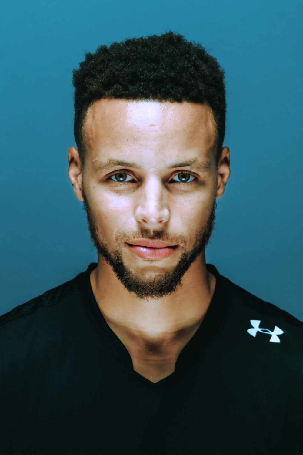 入范迪克 入范迪克