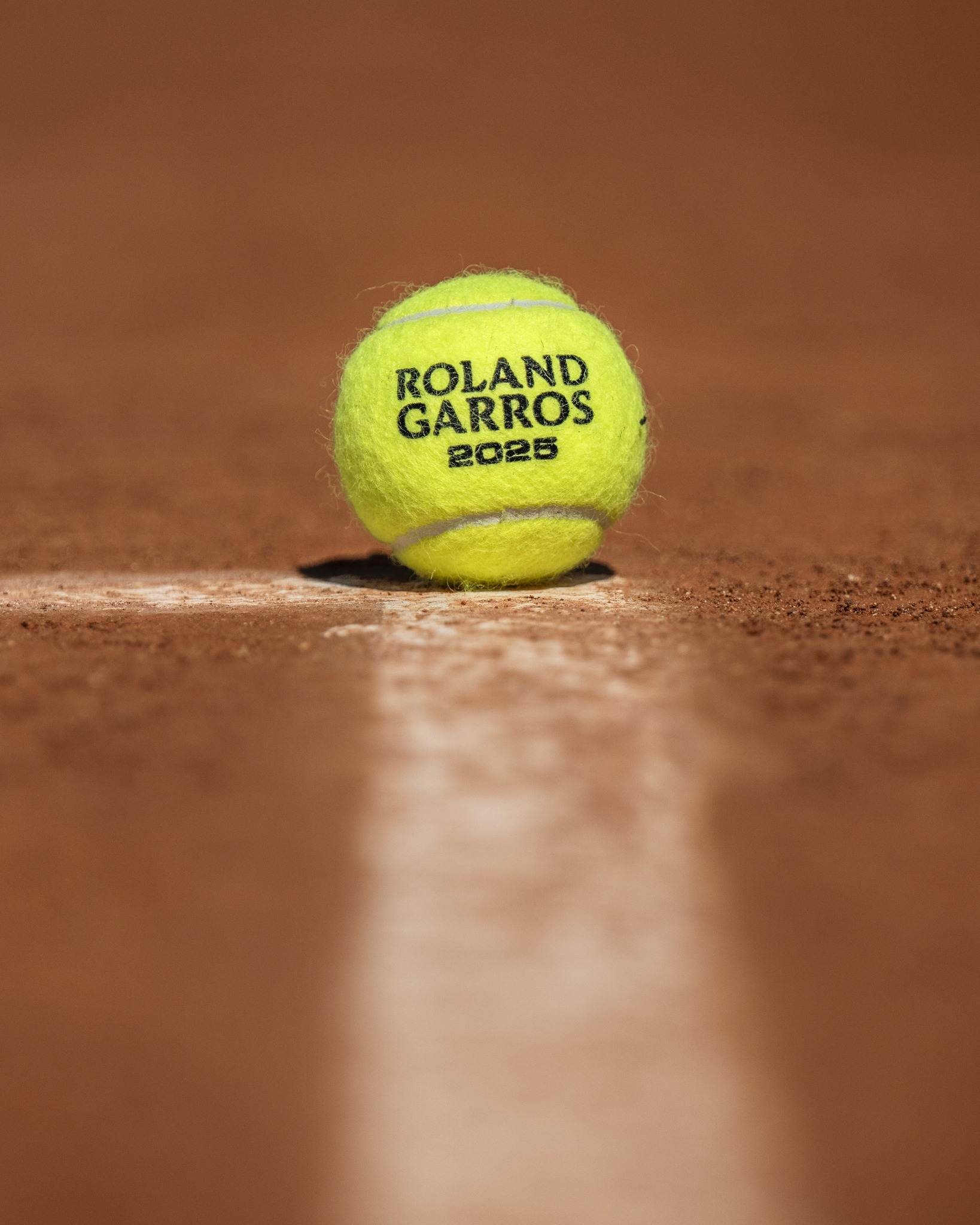 凡的一年 凡的一年